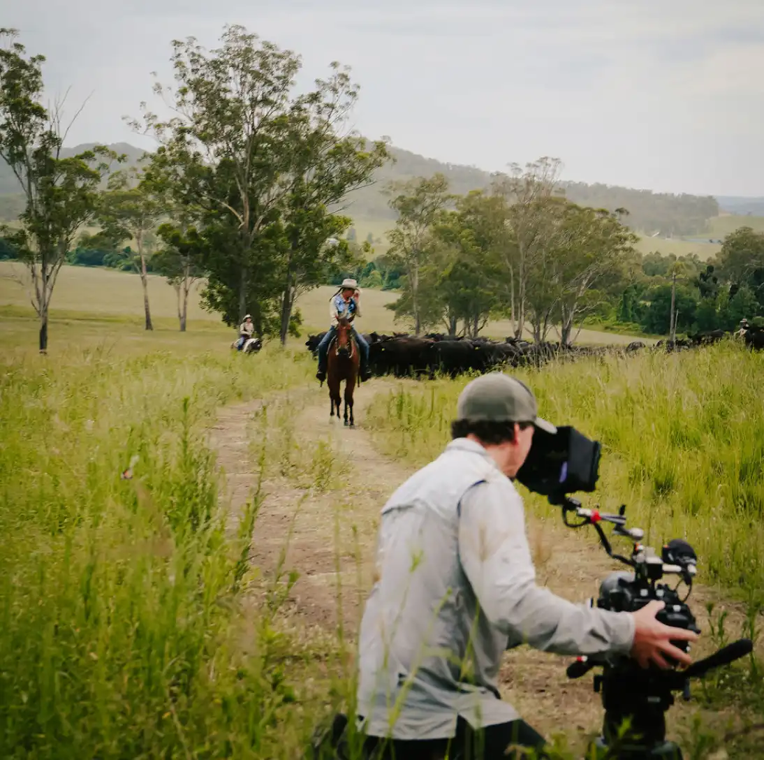 Cameraperson operating a camera on a grassy trail with cowboys riding horses and herding cattle in the distance.