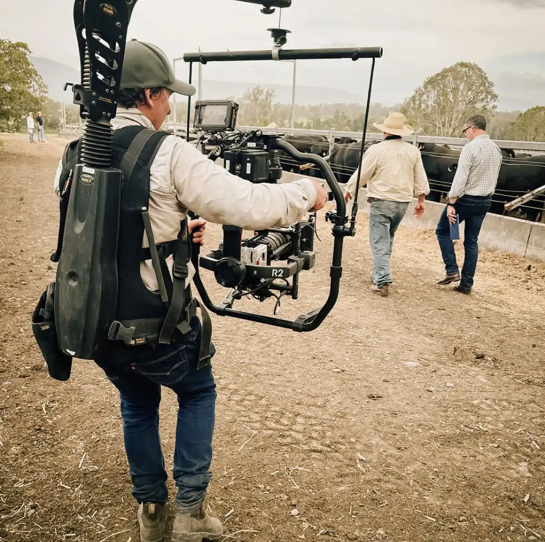 Filmmaker operating a camera rig on a farm with two people inspecting a cattle grazing in the background